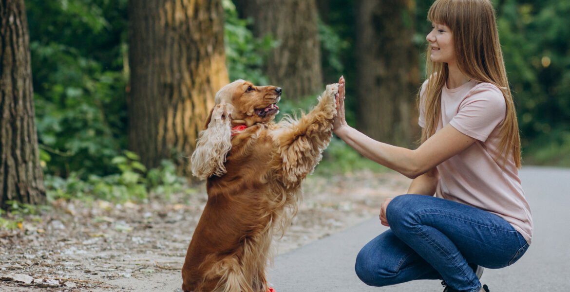 Every Pet has a Story.